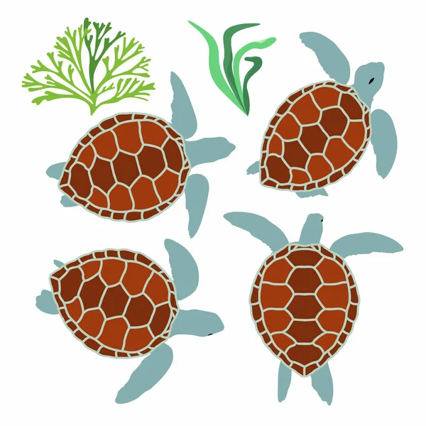 Vector Sea Turtles Seaweed Vector Illustration — Stock Vector