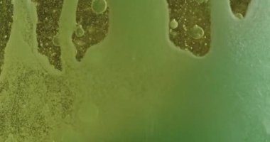 Renkli su köpürmesi