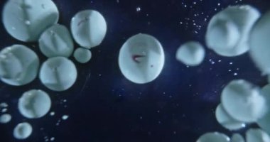 Mavi boya kabarcıkları suda zıplıyor.