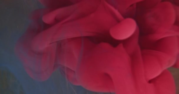 Tinta azul e vermelha misturada em água — Vídeo de Stock