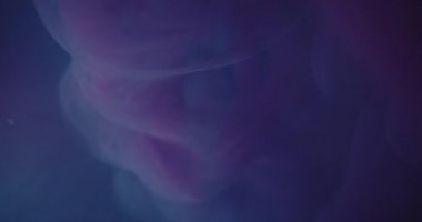 Mor ve mavi mürekkep suda karışıyor.