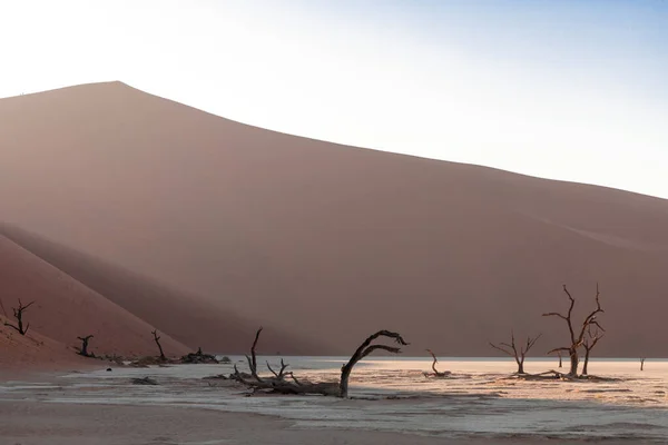 Perfect light from the sun ig going on the duna, Namibia. — Stock Photo, Image