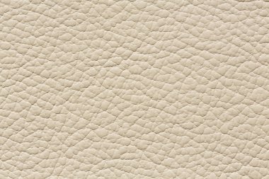 Sıra dışı deri dokusu içinde basit hafif renk.