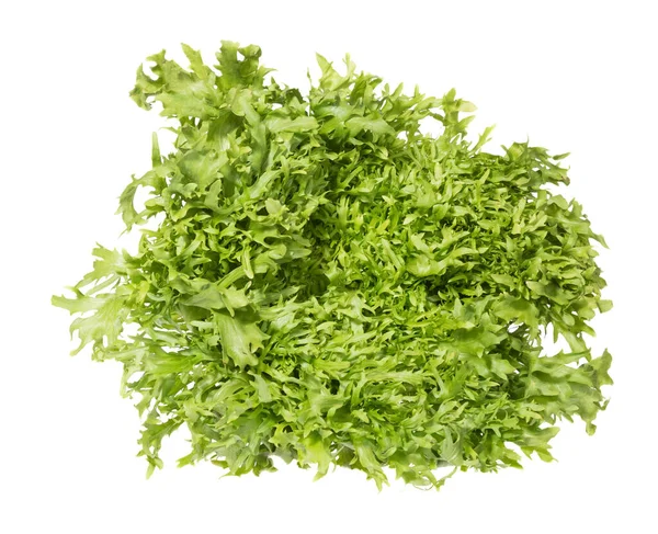 Kontrast greeny blad av Ruccola sallad. — Stockfoto