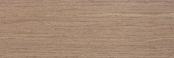 New natural oak veneer background in gentle light beige tone. Natural wood texture, pattern of a long veneer sheet. — Stock Photo, Image