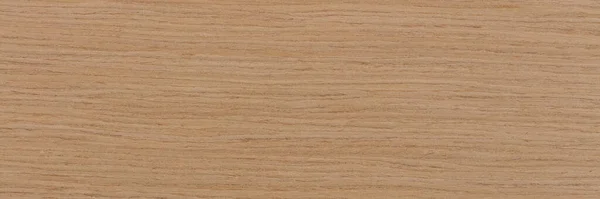 천연 오크 베니어는 완벽 한 베이지 색이다. 천연목 질. — 스톡 사진