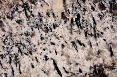 Modern klasik renklerde şık Alaska beyaz granit deseni.