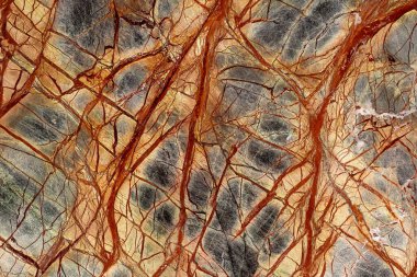 Güzel Yağmur Ormanları Yeşil Ekstra mermer, kişisel tasarım projesi için doku.