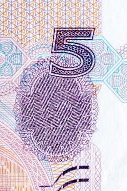 Beş Çin Yuan makro fotoğrafı. Makro Çince para birimi.