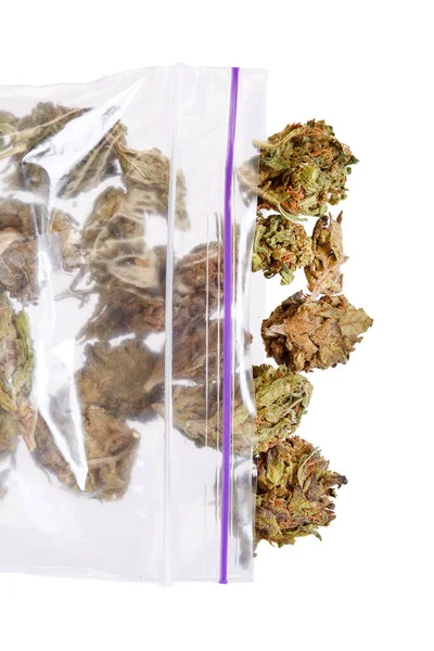Duża Torba Tworzywa Sztucznego Chwastów Lub Marihuany — Zdjęcie stockowe