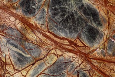 Mükemmel Yağmur Ormanları Yeşil Ekstra - mermer arka plan, yeni iç projeniz için zarif renklerde doğal doku.