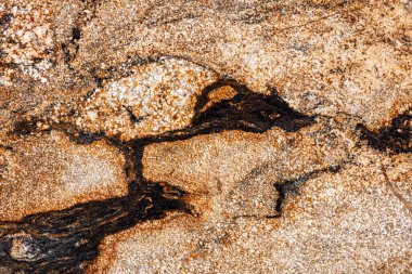 Natural Sedna - granite background, beautiful photo of slab texture in gold tone for your individual design work.