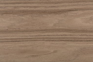 Beautiful natural nut veneer background in awesome grey color. High quality texture in extremely high resolution.