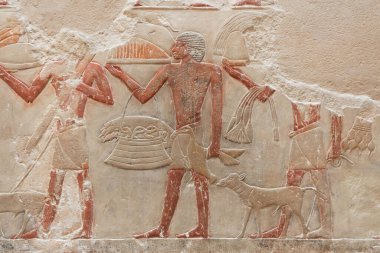 kuş figürleri ve farklı işaretler ile antik Mısır taş kabartma