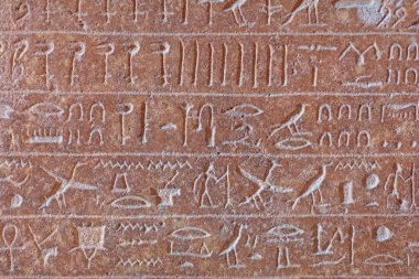 Egyptian hieroglyphs on the wall. Ancient egyptian hieroglyphs closeup. clipart