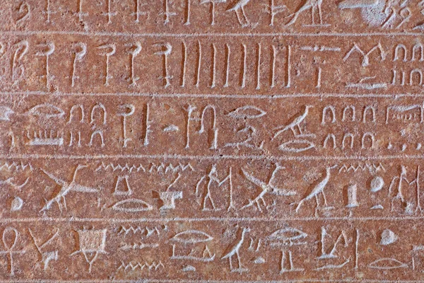 Egyptian hieroglyphs on the wall. Ancient egyptian hieroglyphs closeup.