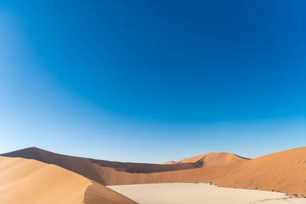 Φωτογραφία Του Γαλάζιου Ουρανού Μια Πανίδα Στην Έρημο Ηλιόλουστη Ναμίμπια — Φωτογραφία Αρχείου