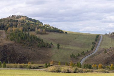Charyshsky Bölgesi Altai Bölgesi, Rusya, yatay Taiga manzarası, yokuş yukarı giden tepelerdeki yollar, gökyüzü ve bulutlar ve yumuşak gölgeler ve ışıklar 
