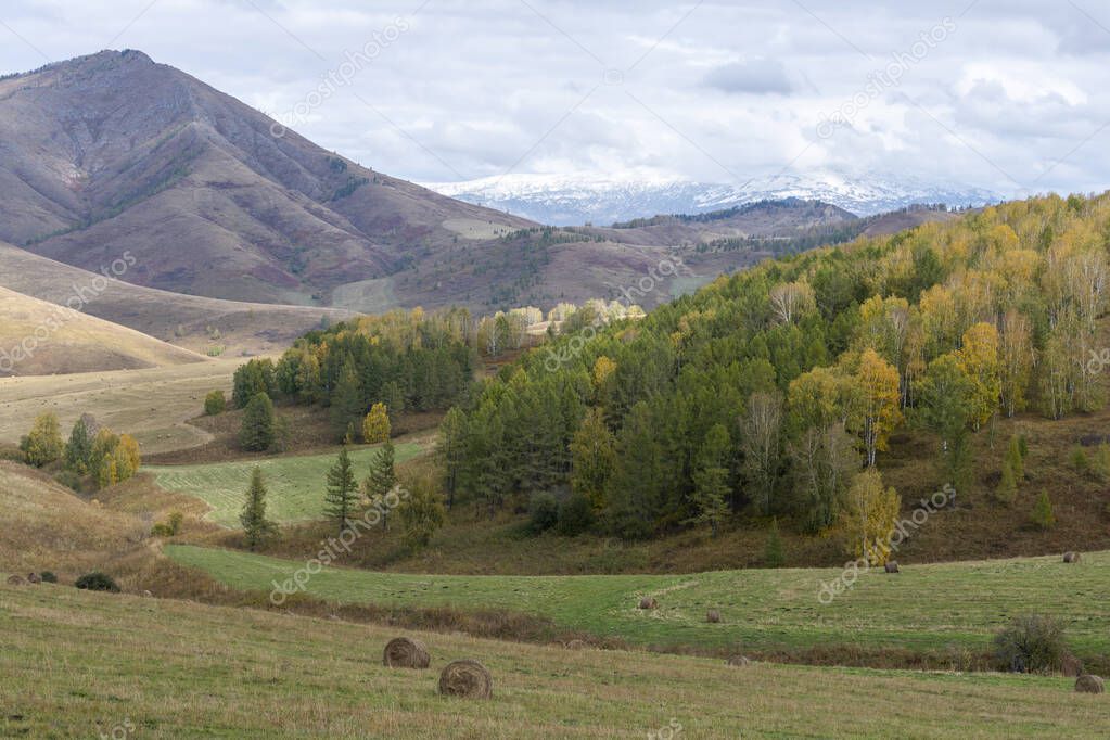 autumn horizontal landscape with mown meadows, hay in bales, golden and green forest and snow-capped mountains with clouds 