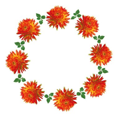 Dekoratif bitki örtüsü ve taze yıldız çiçeği çerçevesi. Dairesel çerçevede yaprakları ve metniniz için alanı olan iğne şekilli yıldız çiçekleri.