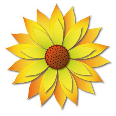 Tek çiçekli sarı ayçiçeği. Bir çiçeğin resmi vektör ve jpg biçiminde beyaz izole edilmiş arkaplandadır.