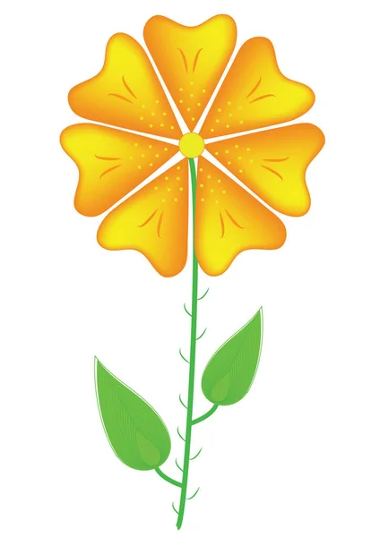 Kwitnący Pomarańczowo Żółty Kwiatuszek Łodydze Liśćmi Odizolowany Słoneczny Kwiat Liście — Wektor stockowy