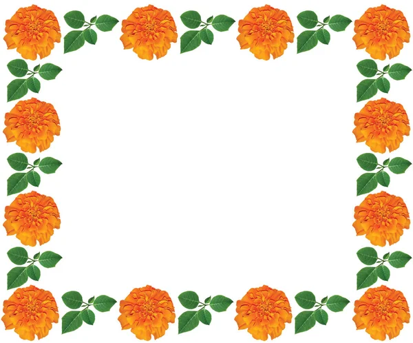 Decorative spring and summer floral frame with flowers African Marigolds and leaves.  The frame is made of orange fresh flowers and leaves with space for your text.