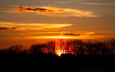 Gün batımı. Güneş bulutunun son ışınları ile doğal bir arka plan. Gün batımında orman siluetinde renkli bir gökyüzü. Güneşin son ışınları..