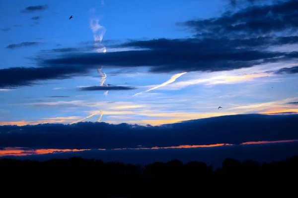 Nature Background Colorful Cloudscape Layers Birds Colorful Sky Sunset Forest — Stock Photo, Image