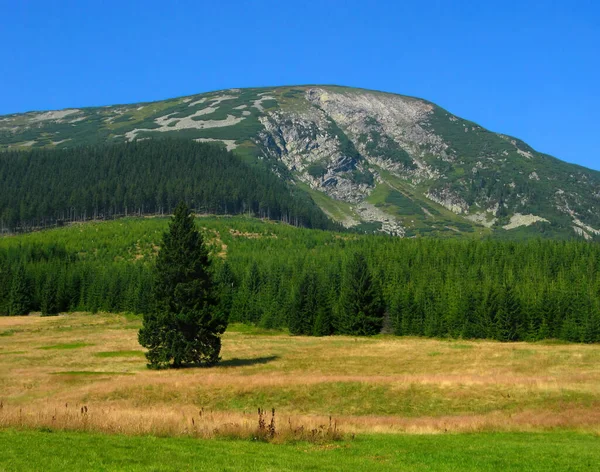 Czech Mountain Krkonose, Giant mine, and Blue Mine under the Mountain Ridges. Border of Bohemia and Poland. Natural protected regions for hiking, grassy valleys, forests and a mountain with dwarf pine on the rocks.