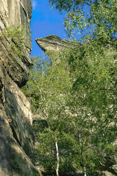 捷克共和国的高砂岩塔 徒步旅行和爬山是罕见的 波希米亚乐园中的岩石是岩石结构和平原上的史前城堡 称为Drabske Svetnicky — 图库照片