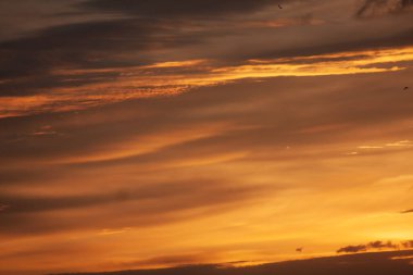 Sandy soyut gerçek gün batımı. Küçük kuşlarla dolu canlı gökyüzünün arkaplan ve duvar kağıtları.