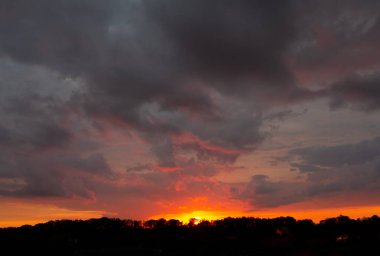 The evening twilight sky in real colors with clouds. A colourful backdrop of real sunset over the silhouette of the forest.