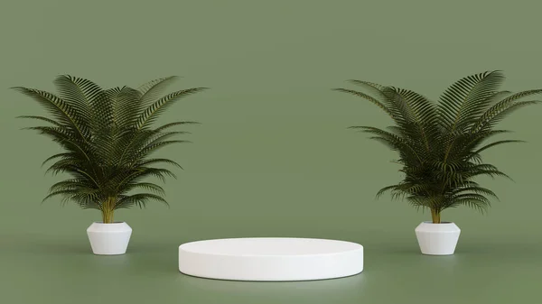 Cylinder Podium Pedestal Palm Tree Decoration Stage Product Presentation Rendering — Foto de Stock