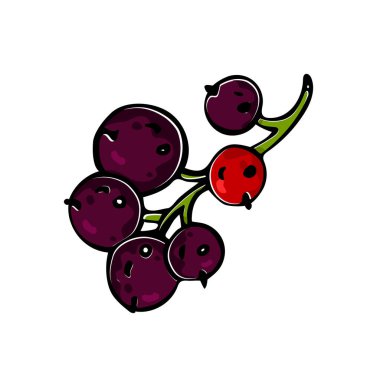  Cartoon fresh currant on white background. Great berries illustration for your food design. Vegan, vegetarian, raw food diet.