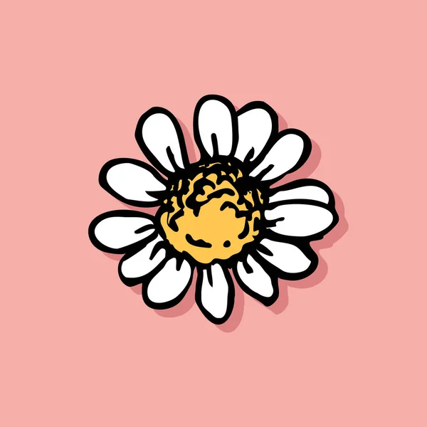 Белый Цветок Маргаритки Розовом Фоне Летняя Иллюстрация Вашего Дизайна Ботанический — стоковый вектор