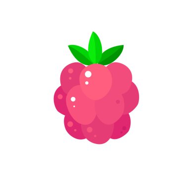  Beyaz arka planda vektör ahududu. Tasarımınız için güzel yemek unsuru.