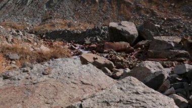Shkhara Buzuluna Gün Yürüyüşü