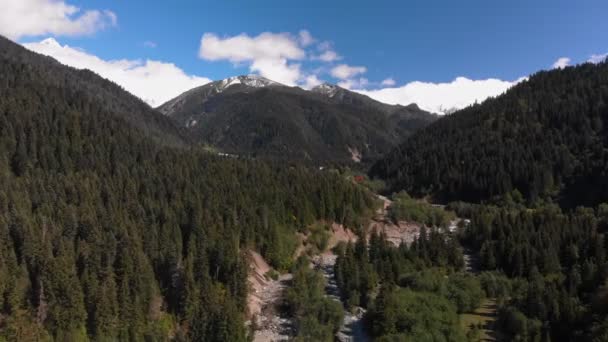 Kavkazské hory v oblasti Šovi v Gruzii — Stock video