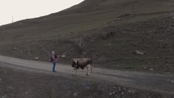 Ushguli Dağı eteğindeki Ushguli köyünün manzarası. Shkhara — Stok video