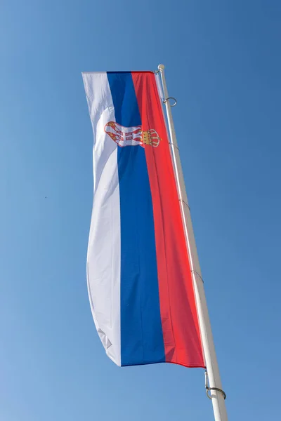 Vlajka Srbska Mávat Větru — Stock fotografie