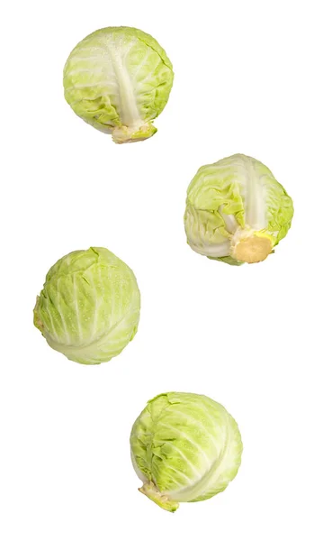 Kapusta Izolowana Białym Tle Zdrowe Ekologiczne Świeże Warzywa — Zdjęcie stockowe