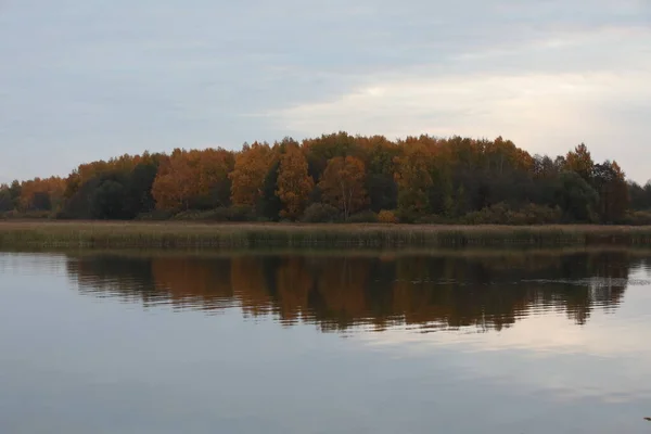 Φθινοπωρινό Δάσος Στην Ακτή Της Λίμνης Αντανακλάται Στα Ήρεμα Νερά — Φωτογραφία Αρχείου
