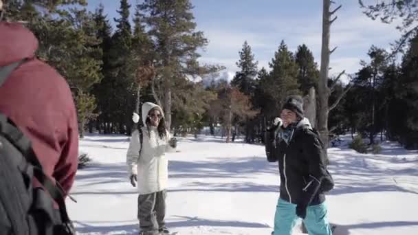 雪の戦いの幸せな人々。冬の休日に一緒に楽しむ森の中で陽気な友人が遊ぶ — ストック動画