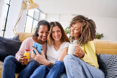 Üç neşeli mutlu kadın evde cep telefonu kullanarak video izliyor. Kanepede oturmuş meyve suyu ve kahve içiyor. Arkadaşların çevrimiçi evde eğlenmesi - sosyal. ortam