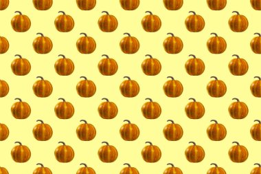 Turuncu arka planda kusursuz kabak deseni, sebze manzarası, sonbahar tatili konsepti..