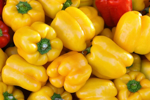 Yellow pepper on the counter in the supermarket. A large number of yellow peppers in a pile