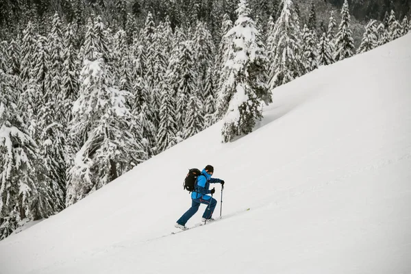 Vue de l'homme avec des bâtons de trekking montant la montagne enneigée sur fond d'arbres — Photo