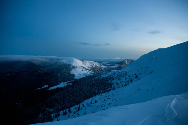 Herrlicher Blick auf die winterliche Berglandschaft am Abend mit schneebedeckten Wipfeln und Kiefern. — Stockfoto