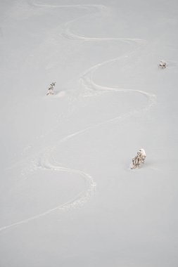 Dağ yamacında bembeyaz toz kar ve serbest kayak pistleri var.